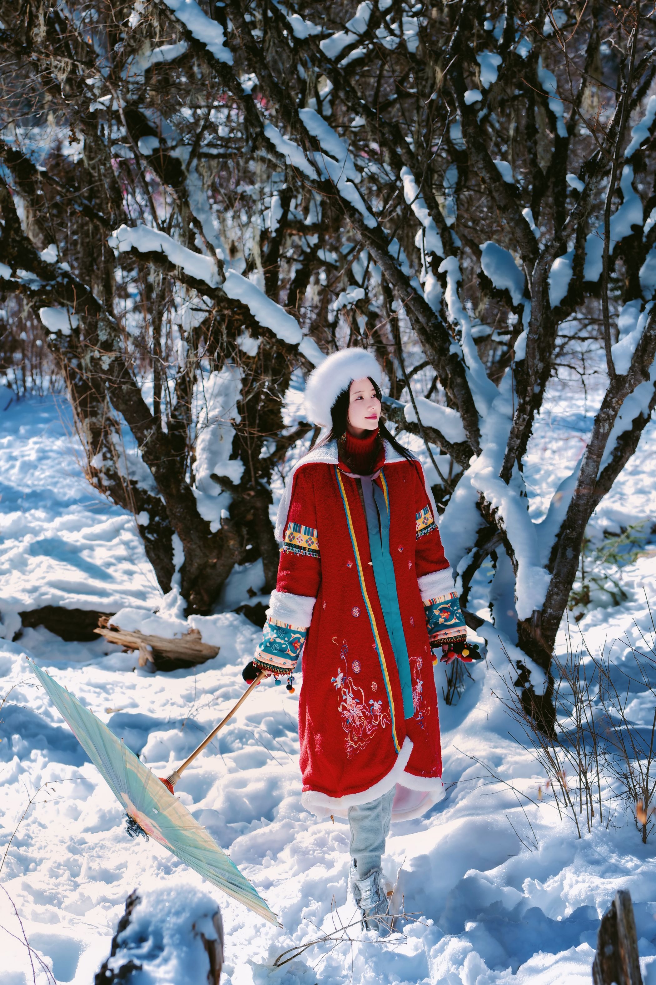年年 吉祥雪兆丰年